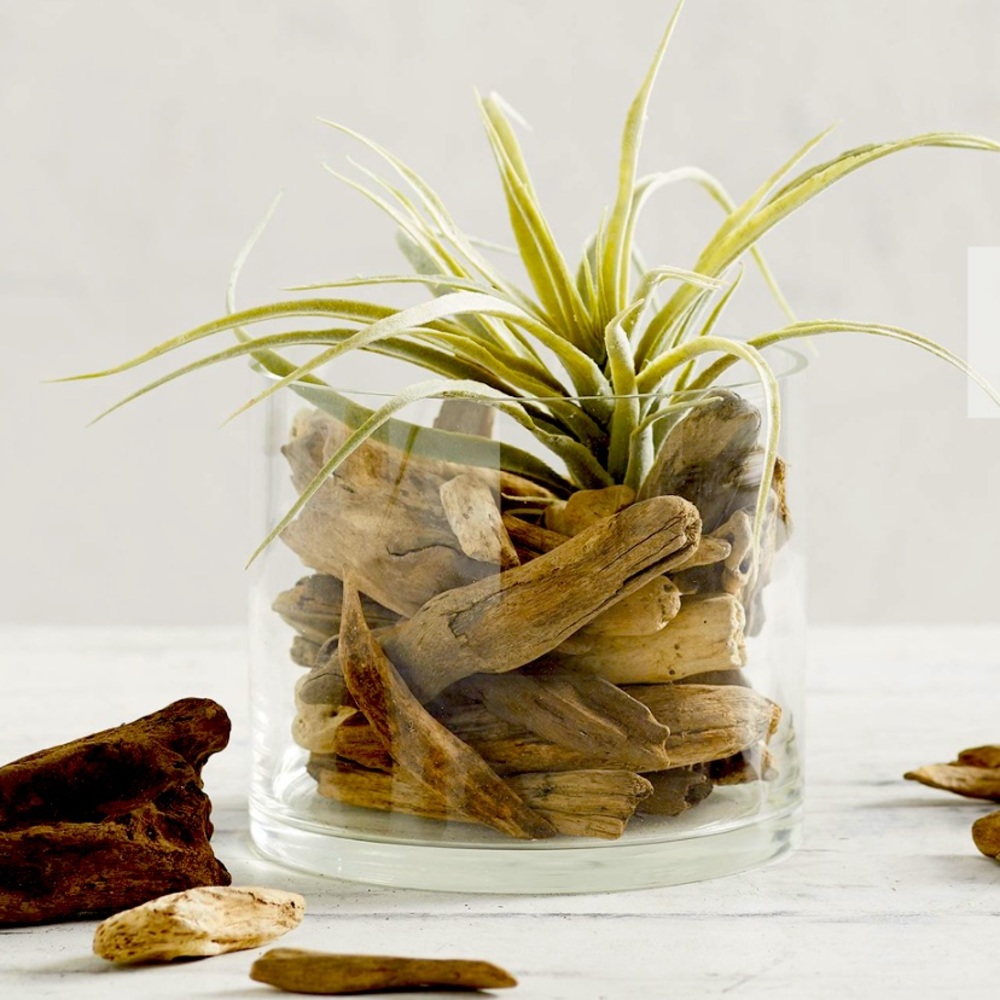 Pottery Barn driftwood vase filler 1 package